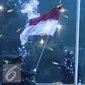 Penyelam melaksanakan prosesi pengibaran bendera di akuarium utama SeaWorld Ancol, Jakarta, Rabu (17/8). Kegiatan tersebut diadakan dalam rangka memperingati HUT RI ke-71. (Liputan6.com/Immanuel Antonius)