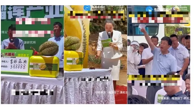 Durian Pertama 'Buatan China' Terjual Hampir Rp824 Juta, Pecahkan Rekor