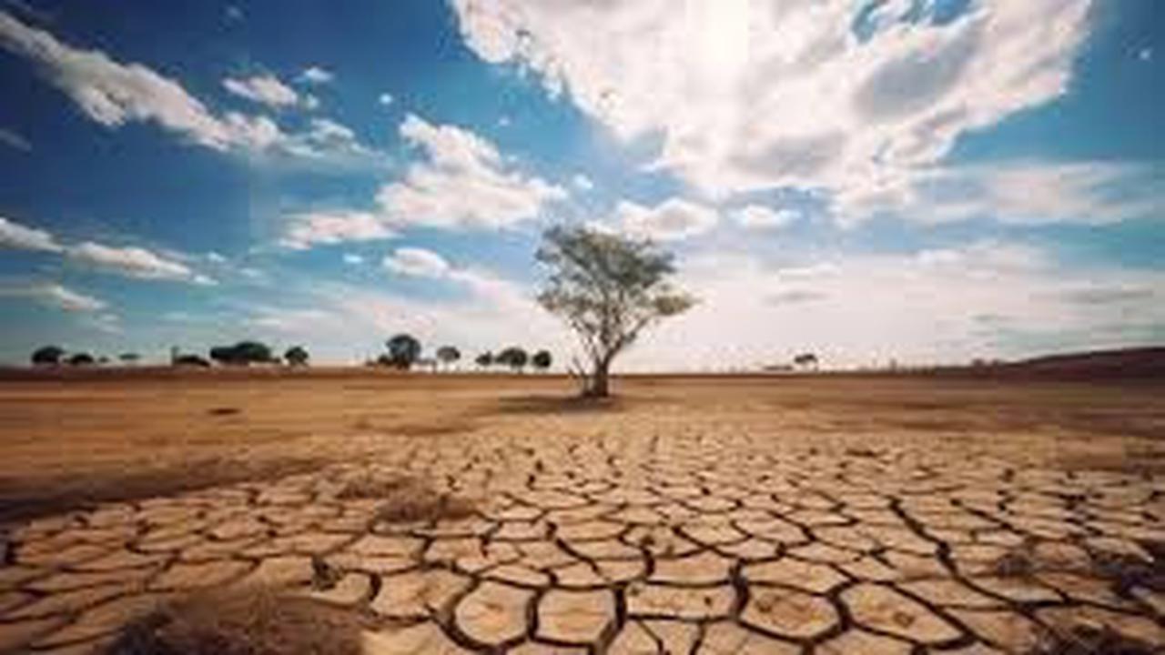 Ilustrasi kemarau panjang (Istimewa)