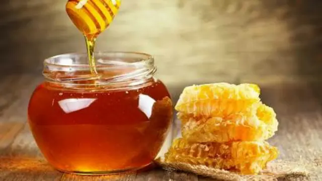 Lebah Produksi Banyak Madu