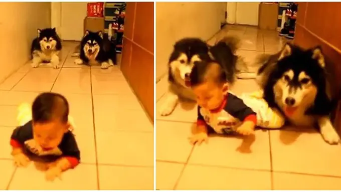 (c) Youtube/Kenji Chen