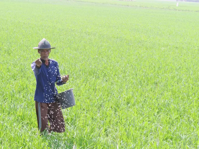 Harga Pupuk Turun, Distribusi Lebih Sederhana