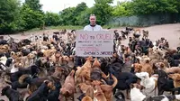 Lelaki dari Serbia, Sasha Pesic, bersama ratusan anjing yang dipeliharanya (Dok.Facebook/Sasha Pesic)