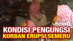 vertical pengungsi