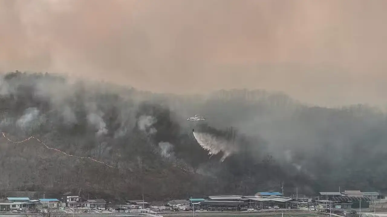 Sebuah helikopter mencoba memadamkan api setelah kebakaran hutan terjadi di wilayah tenggara Uiseong pada 22 Maret 2025.(YONHAP / AFP)