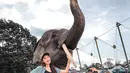 Fiolina Tejaay tidak takut dengan gajah, apalagi ia pernah mengunjungi Way Kambas. Dalam liburannya tersebut, ia berfoto dengan gajah seorang diri sambil memegang gadingnya. Momen seperti ini tentu tidak banyak orang yang berani. (Liputan6.com/IG/@fiolinatejaay)
