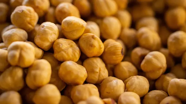 Beda Kemiri dan Hazelnut yang Bentuknya Mirip, Salah Satunya Bisa Picu Alergi