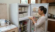 8 Ide Usaha IRT Cukup Modal Freezer Kulkas, Potensi Untung Setiap Hari