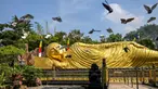 Sejumlah burung merpati terbang di samping patung Buddha raksasa di Maha Vihara Mojopahit, Mojokerto, Jawa Timur, pada tanggal 15 Mei 2024. (JUNI KRISWANTO/AFP)