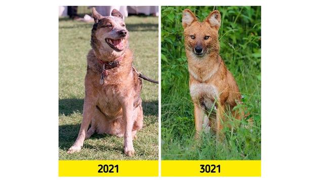 6 Potret Penampakan Bumi 1.000 Tahun Mendatang, Hewan Peliharaan Perlahan Punah