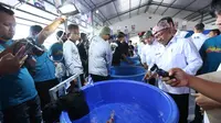 Wakil Bupati Banyuwangi Sugirah meninjau kontes koi di Banyuwangi (istimewa)