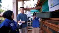 Mengenal Rumah Maggot, Solusi Pengelolaan Sampah Organik yang Jadi Salah Satu Program Pengabdian di Genera-Z Berbakti 2026