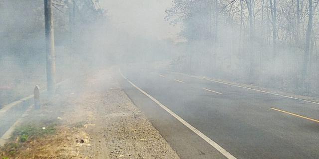 Waspada El Nino dan Puntung Rokok, Ini Daerah-Daerah Rawan Kebakaran Hutan di Jateng