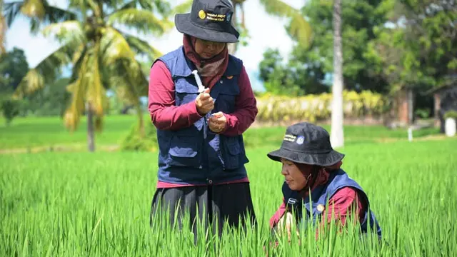 Kementan
