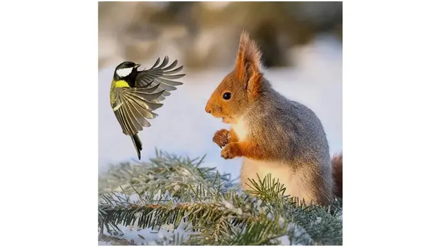 Interaksi Lucu Hewan di Alam Liar (sumber: Instagram/@fantastic.wildlife)