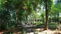Situasi Arboretum Lukito Daryadi yang menjadi lokasi Arborea Cafe. (Liputan6.com/Dinny Mutiah)
