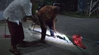 Warga di Perumahan Bekasi menangkap anak king kobra. (Liputan6.com/Bam Sinulingga)