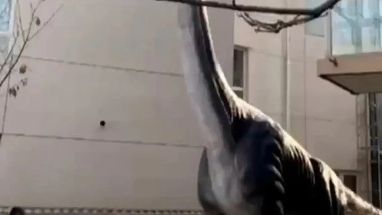 Patung Dinosaurus Raksasa