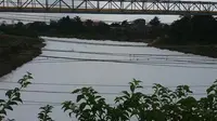Kali di Bekasi Berubah Seperti Berselimut Salju, Apa Penyebabnya?
