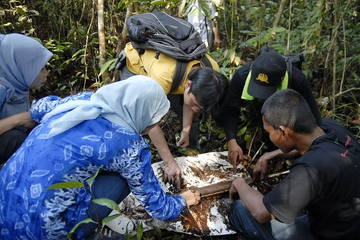Hutan Lindung Gambut Sungai Buluh Jambi