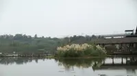 Gambaran Desa di 'Negeri Surga' Chengdu