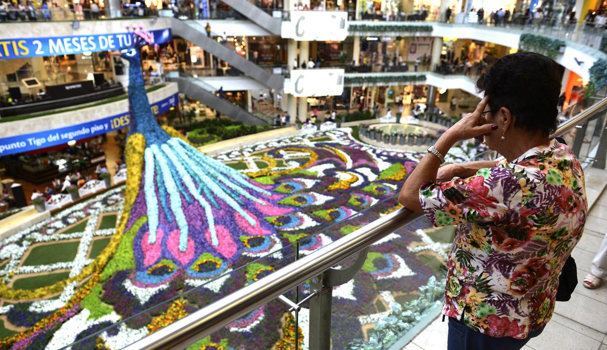 Pengunjung melihat merak raksasa selama Festival Bunga di Pusat Perbelanjaan Santa Fe di Medellin, Kolombia (3/8). Merak yang terbuat dari 182.000 bunga ini memiliki panjang 12 meter (40 kaki). (AFP Photo/Joaquin Sarmiento)