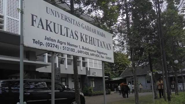 Jokowi Muda