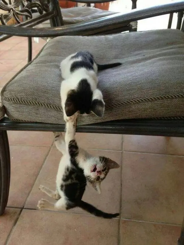 drama