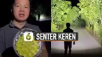 Berbeda dari yang lain lampu senter milik pria ini unik dan menakjubkan.