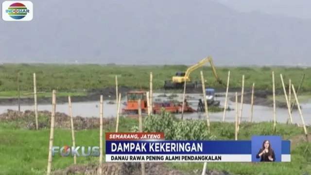 Kemarau panjang membuat setengah dari total 501 embung air Bojonegoro, Jawa Timur, mengering.