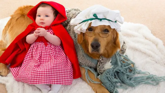 Foto: copyright thinkstockphotos.com