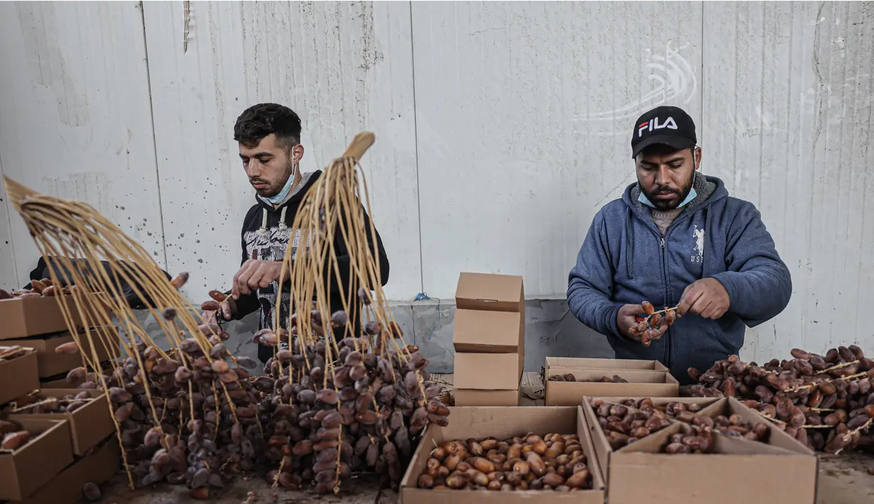 <p>Pekerja Palestina menyortir dan mengemas kurma di sebuah pabrik sebagai persiapan untuk puasa Ramadhan di Khan Yunis di Jalur Gaza selatan pada 19 Maret 2023. (AFP/Said Khatib)</p>