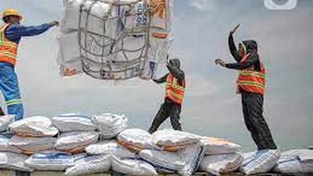 Ilustrasi bongkar muat beras impor (Istimewa)