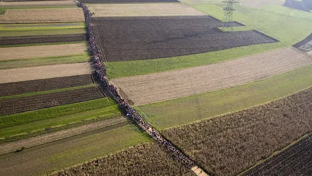 Penampakan Udara Ribuan Pengungsi Penuhi Perbatasan Kroasia dan Serbia