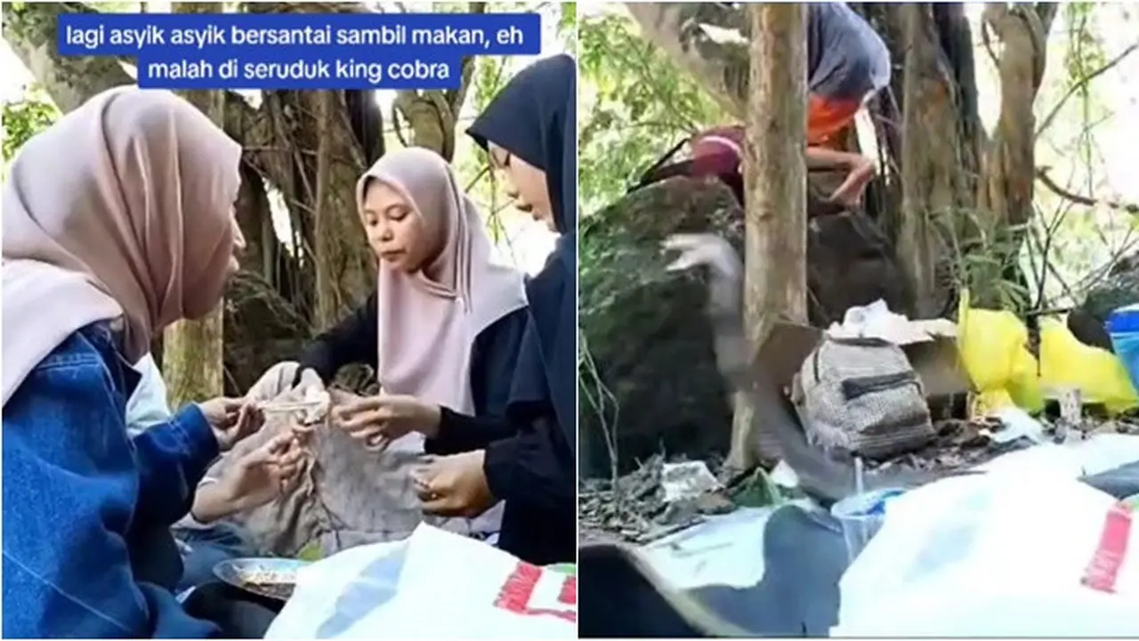 Lagi Asyik Santai Sambil Makan di Bawah Pohon, Tiba-Tiba Diseruduk Ular Kobra