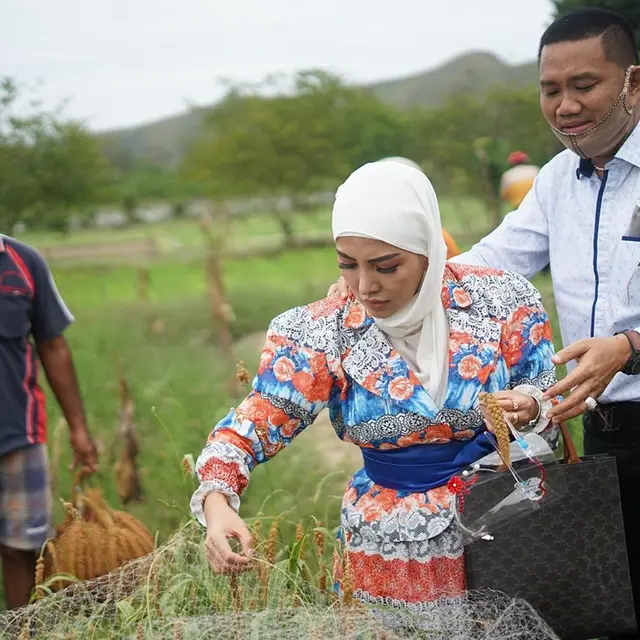 7 Gaya Bella Shofie Panen Padi Hotong di Pulau Buru Ini Jadi Sorotan