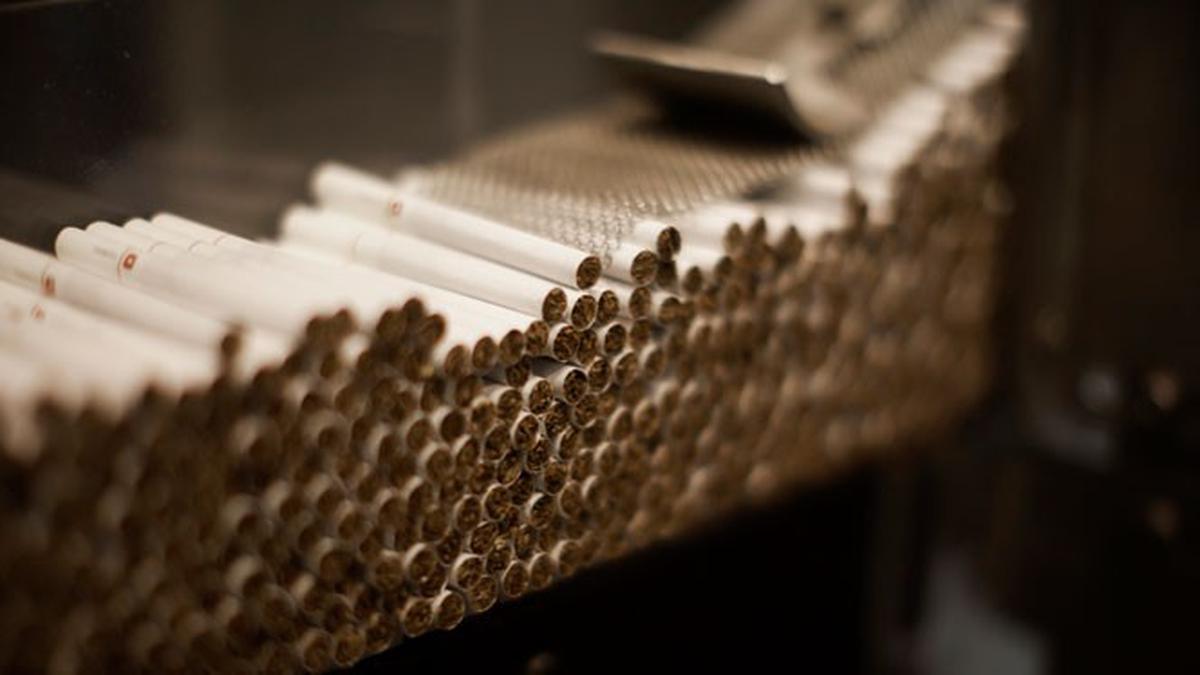 Peredaran Rokok Polos Capai 95%, Negara Boncos Rp 97,81 Triliun