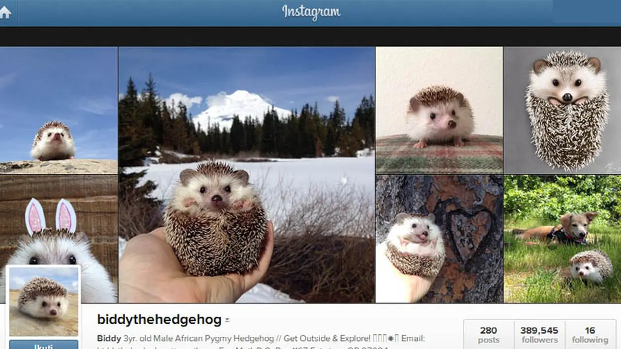 Biddy Landak yang Mendadak Populer di Instagram 
