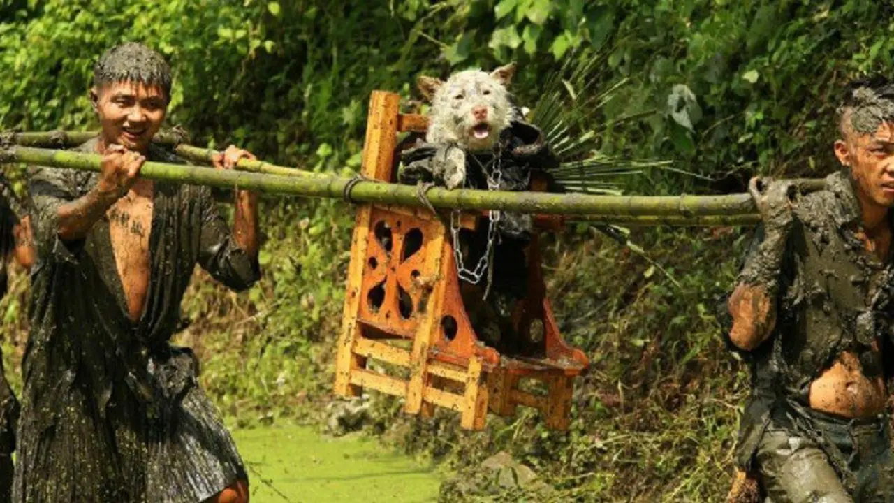 [Bintang] Festival Guizhou