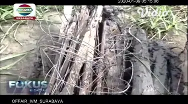 Penggunaan jebakan tikus beraliran listrik di Kabupaten Ngawi, Jawa Timur, kembali menelan korban jiwa. Mayat seorang nenek tanpa identitas ditemukan tewas di tengah sawah di Desa Pangkur, Kabupaten Ngawi, pada Selasa (7/1/2020).