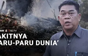 Sakitnya 'Paru-Paru Dunia'