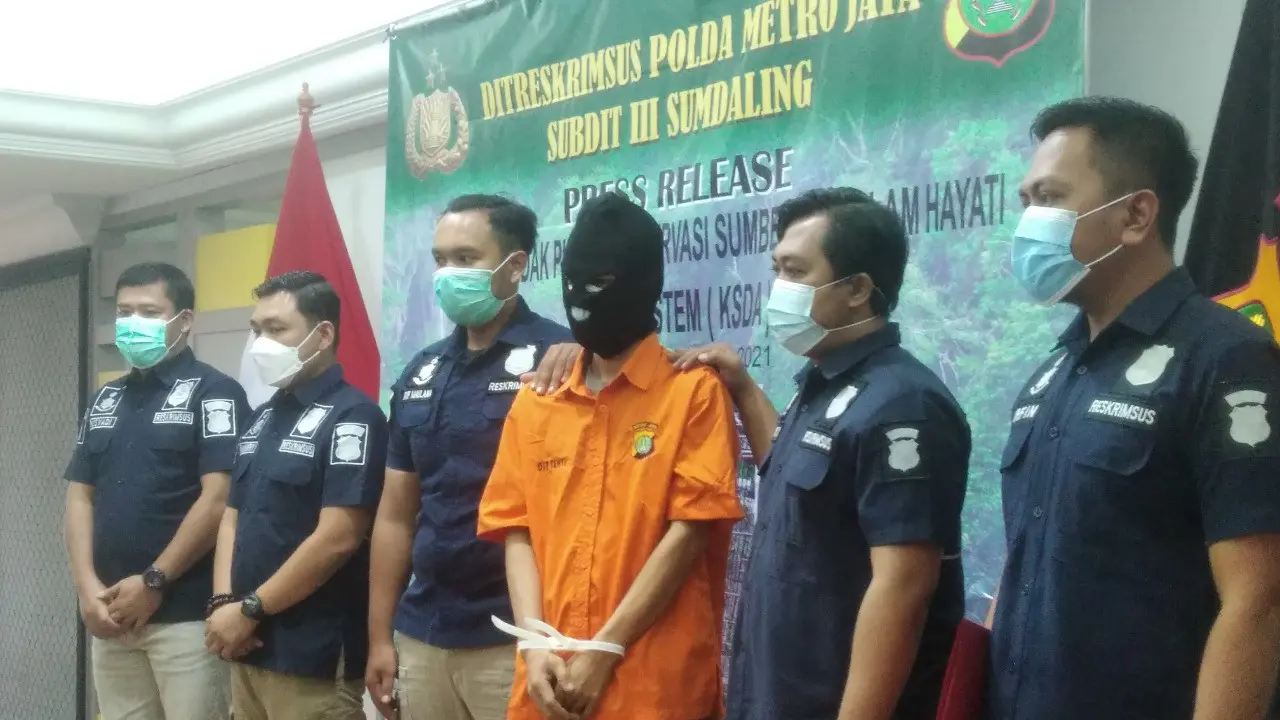 Direktorat Reserse Kriminal Khusus Polda Metro Jaya membongkar kasus perdagangan hewan langka.