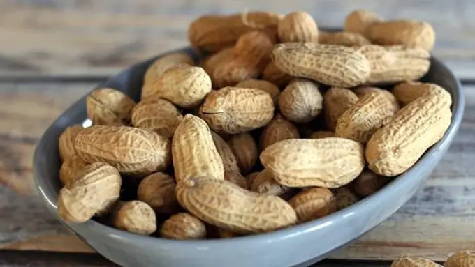 Photo: Copyright about.com