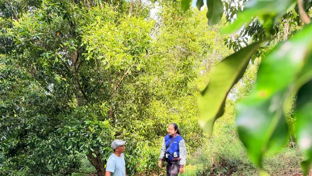 KUR BRI Capai Rp84,36 Triliun hingga Mei 2026, Sektor Pertanian Serap Pembiayaan Terbesar