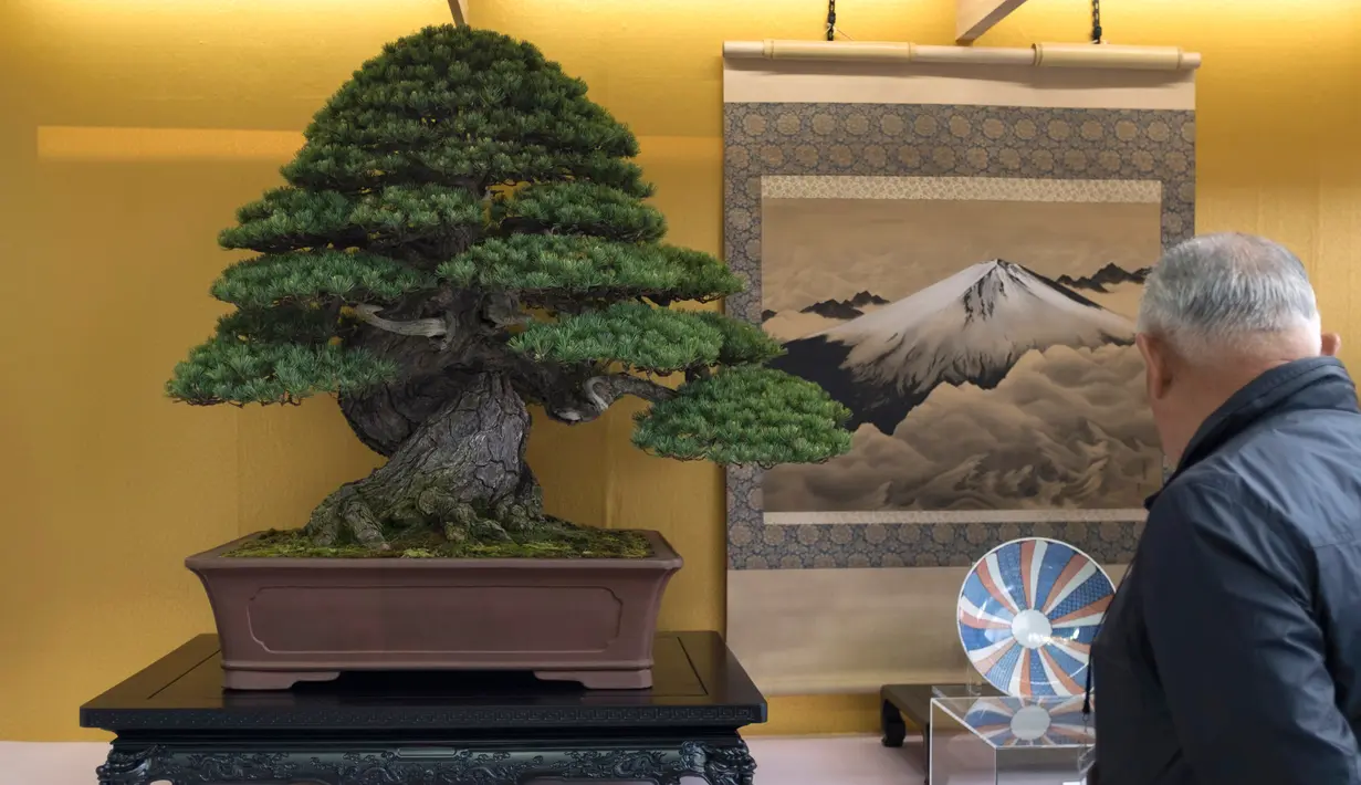 <p>Pengunjung melihat bonsai yang ditampilkan saat Konvensi Bonsai Dunia ke-8 di Saitama, Tokyo, Jepang, Sabtu (29/4). The World Bonsai Friendship Federation telah menyelenggarakan konvensi sejak tahun 1989. (AFP PHOTO / Kazuhiro NOGI)</p>