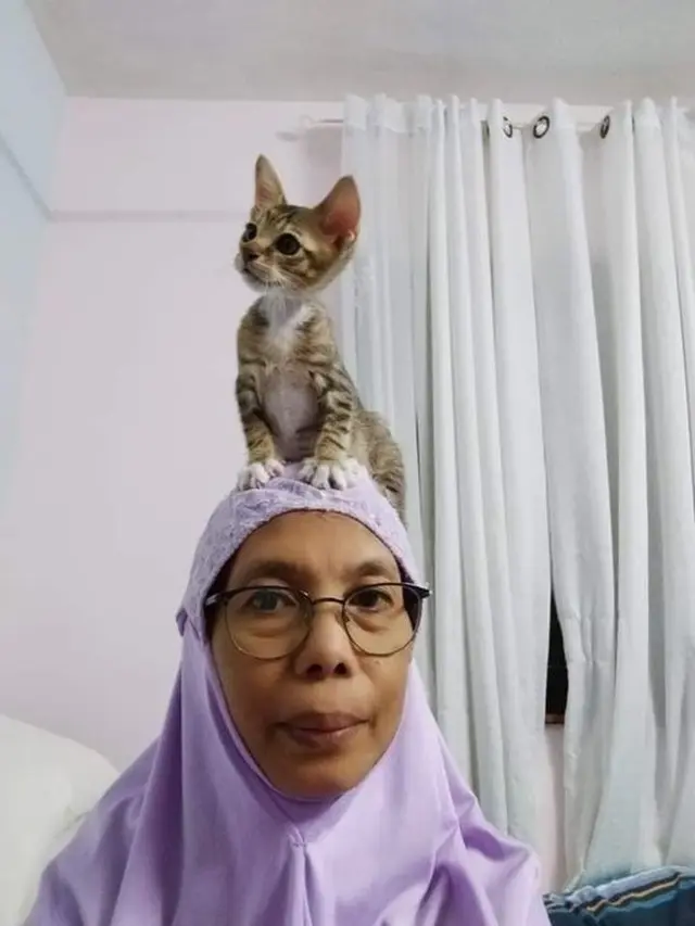 6 Tingkah Kucing di Atas Kepala Ini Bikin Elus Dada, Latih Kesabaran