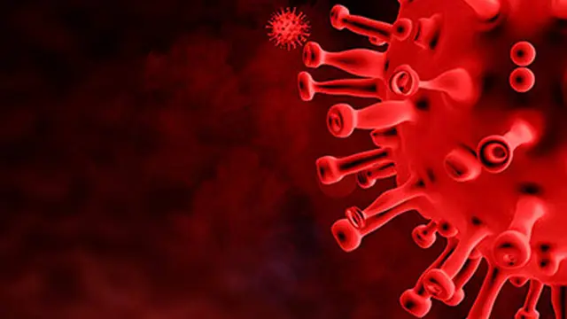 Lonjakan Kasus Omicron di Indonesia