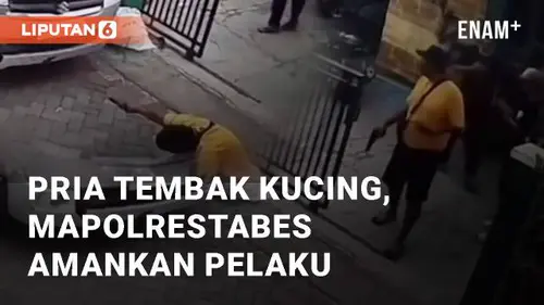 VIDEO: Pria Tembak Seekor Kucing, Mapolrestabes Semarang Berhasil Amankan Pelaku
