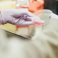 Ilustrasi kanker. Sumber foto: unsplash.com/Drew Hays.