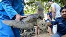 Kura-kura hijau dilepaskan di pantai Kuta di pulau Bali (27/3). Sekitar 18 kura-kura hijau diburu untuk diambil dagingnya dan dilepaskan kembali ke laut setelah polisi menangkap pelaku di Kabupaten Gianyar pada 13 Maret. (AFP Photo/Sonny Tumbelaka)